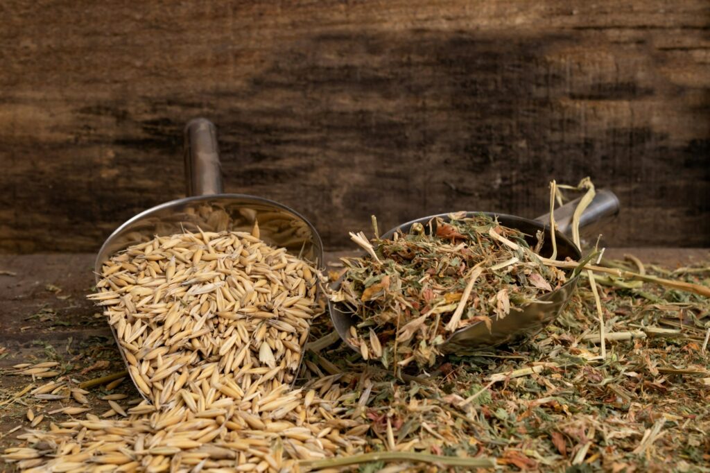 shovel spoons with horse food ingredients